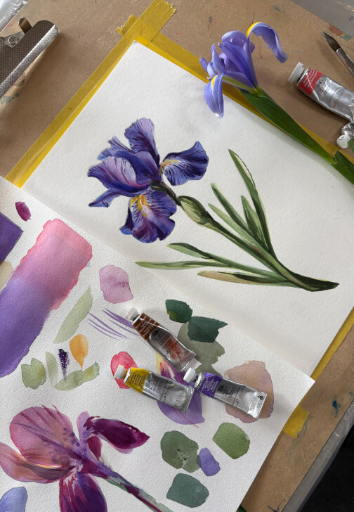 Dutch Iris Watercolour Painting Class
