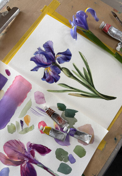 Dutch Iris Watercolour Painting Class
