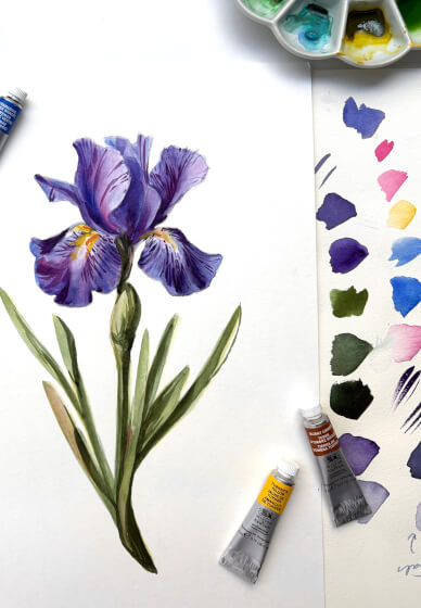 Dutch Iris Watercolour Painting Class