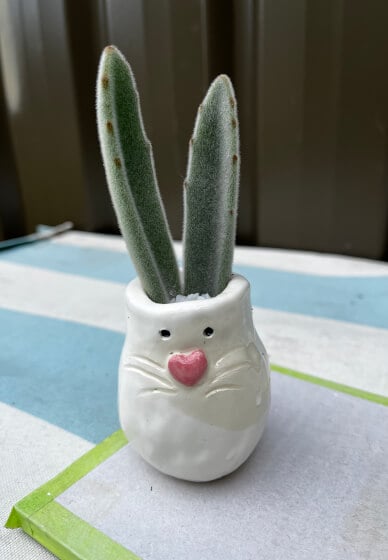 Easter Bunny Ceramic Pinch Pot Workshop