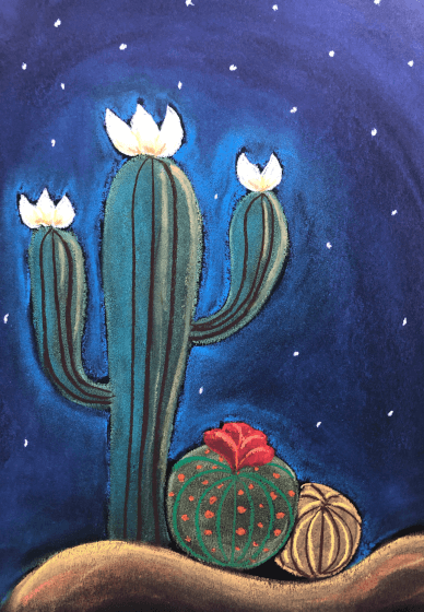Eco Art Party for Kids – Draw a Cactus with Chalk Pastels