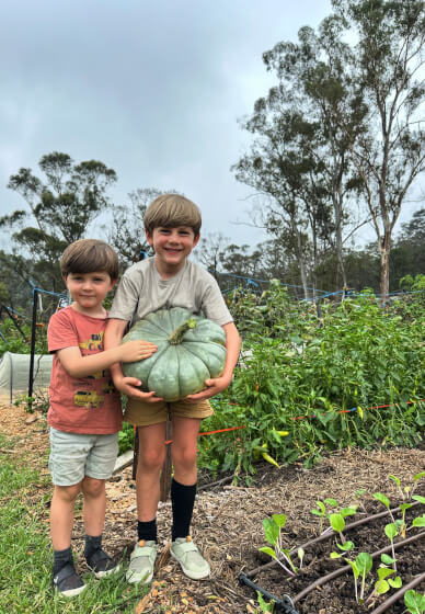 Ecological Farm Kids Fun Workshop