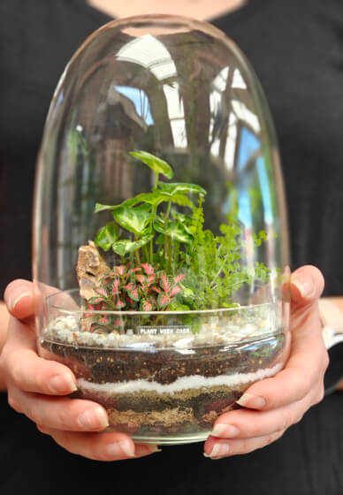 Egg Dome Terrarium Making Workshop