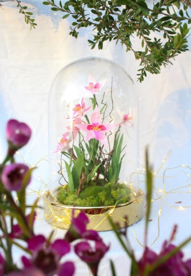 Enchanted Paper Orchid Dome Workshop