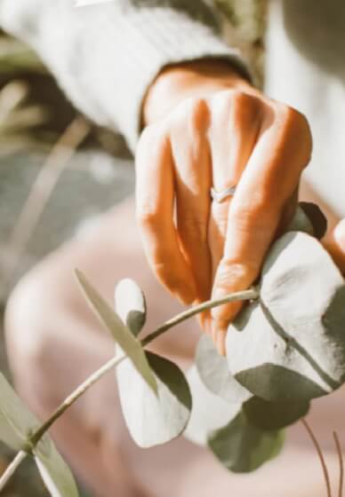 Eucalyptus Garland Workshop