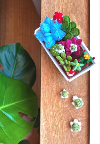 Felt Succulent Garden Jewellery Box Craft Kit