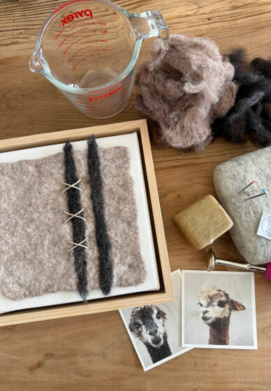 Felt Workshop: Wall Art