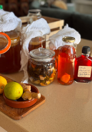 Fermentation and Pickling Workshop with Kombucha
