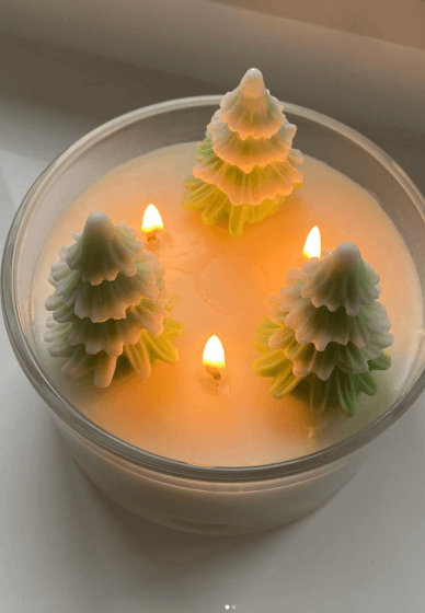 Festive Season - Soy Candle Making Workshop