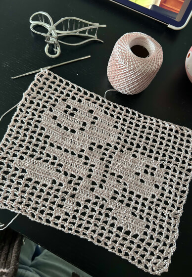 Filet Crochet Class for Confident Beginners