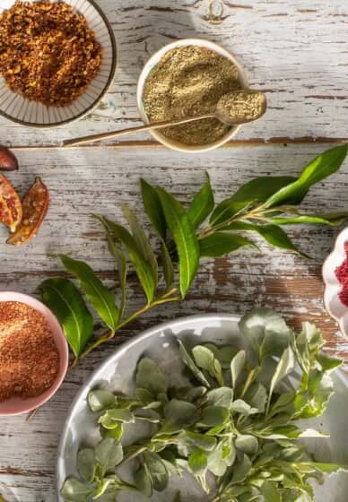 First Nations Seafood Cooking Class