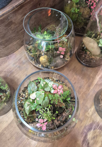 Fishbowl Terrarium Workshop