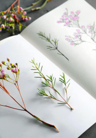Floral Drawing Course