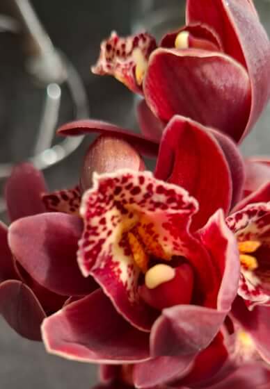 Floral Wiring Workshop: Professional Florals for Cakes