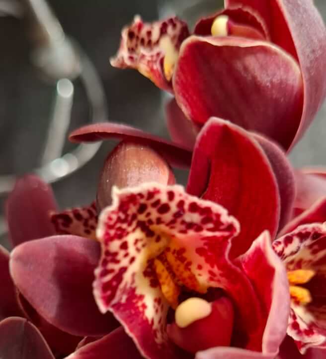 Floral Wiring Workshop: Professional Florals for Cakes