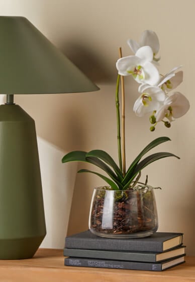 Floristry Workshop: Planted Phalaenopsis Orchid in a Vase