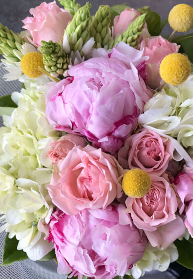 Flower Arranging Workshop: Blooming Peonies (BYO Vase)