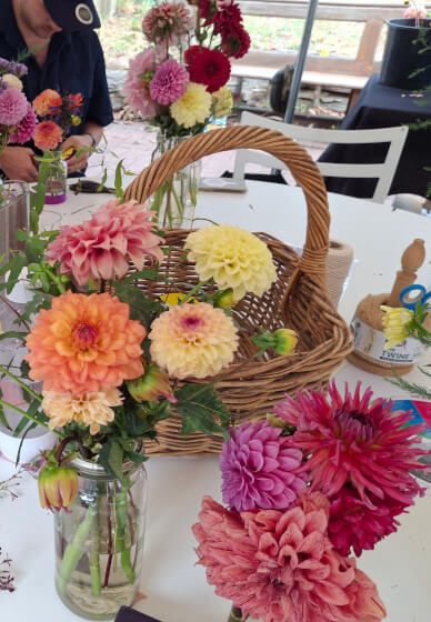 Flower Therapy Picking Experience