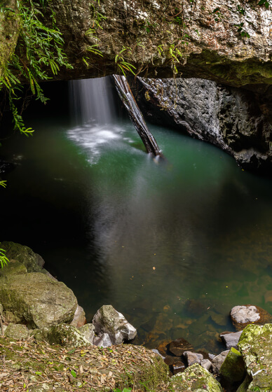 Forest and Falls Landscape Photography Workshop