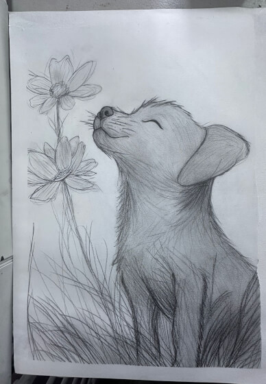 Foundation Course in Sketching: Animals