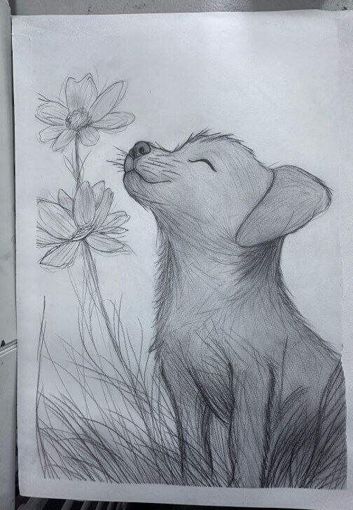 Foundation Course in Sketching: Animals