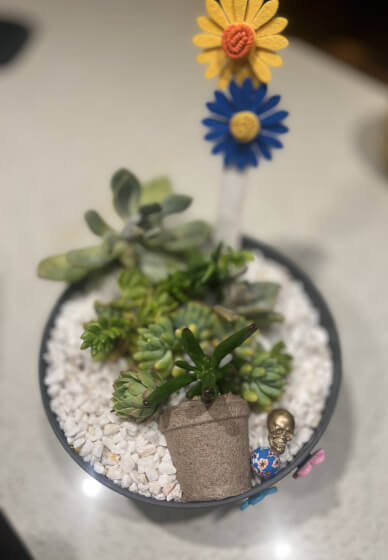Frida Inspired Succulent Bowl Making Workshop