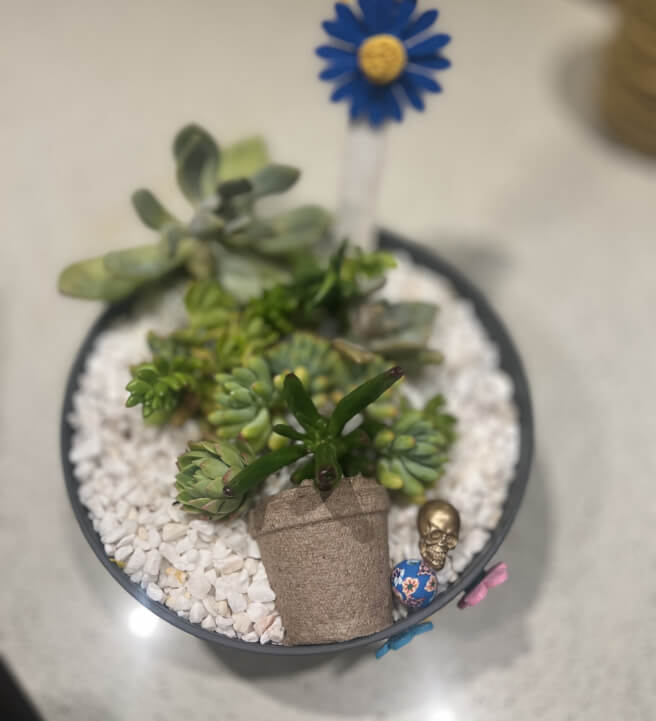 Frida Inspired Succulent Bowl Making Workshop