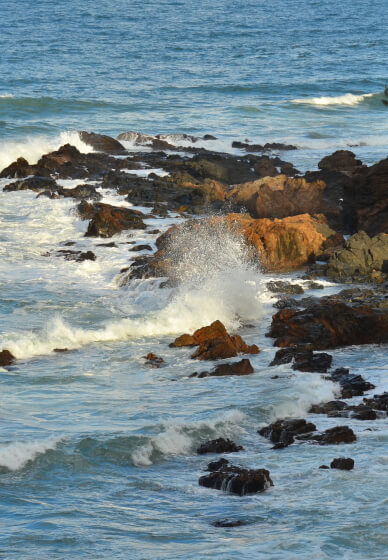 Full Day Oil Painting Class: Painting Waves