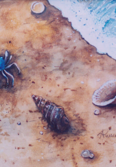 Full Day Retreat: Shells on the Shore