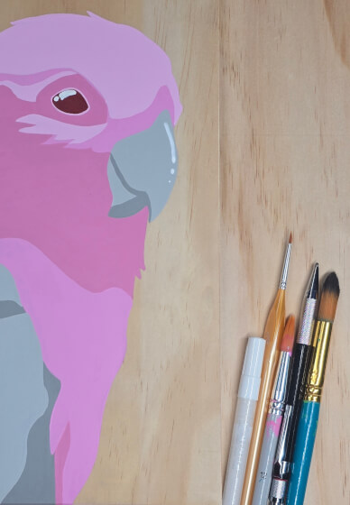 Galah Painting Class for Beginners