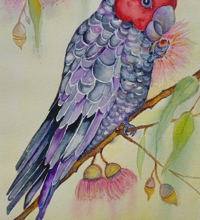 Gang Gang Cockatoo Watercolour Workshop with Ferie Sadeghi
