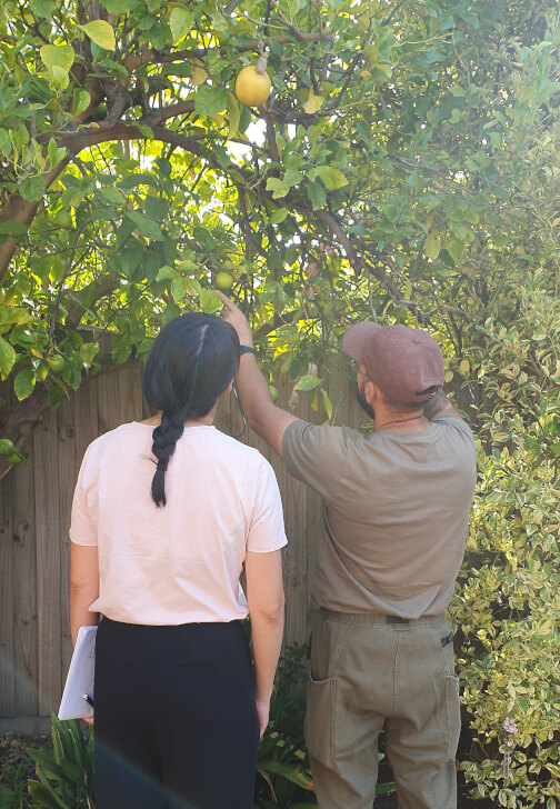 Garden Consultation Experience in Your Garden