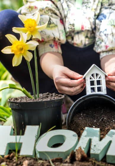 Garden Design Consultation Lesson