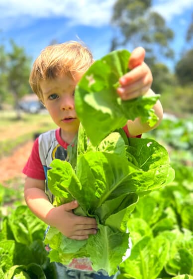 Gardening Workshop for Kids: Permaculture at a Farm
