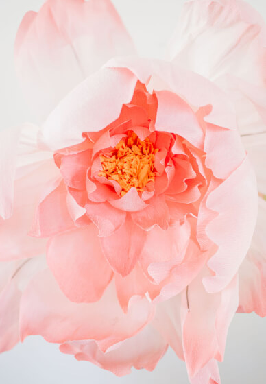 Giant Paper Peony Wallflower Workshop with Wine and Cheese