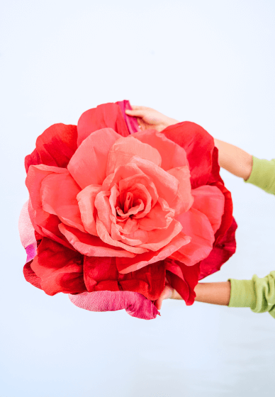 Gorgeous Giant Rose Wallflower Workshop with Wine and Cheese