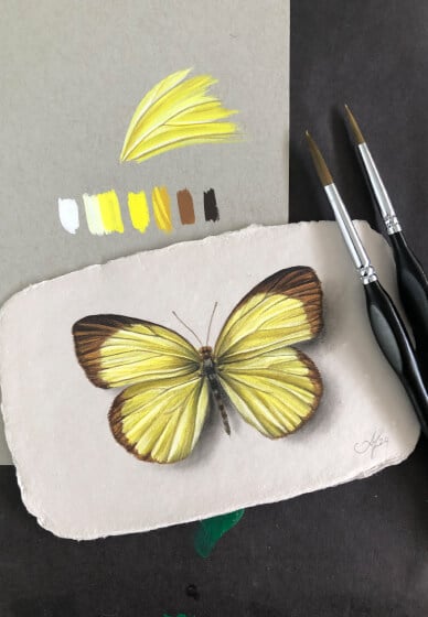Gouache (Watercolour) Painting Class: Butterfly