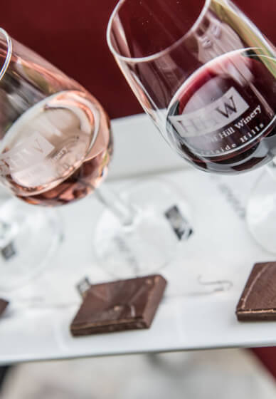 Gourmet Chocolate and Fine Wine Tasting Experience