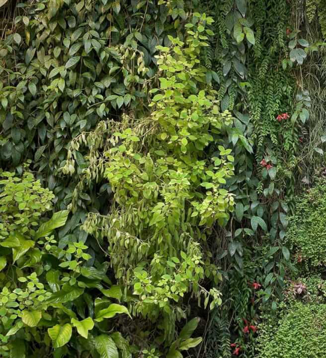 Green Wall or Vertical Garden Design Workshop