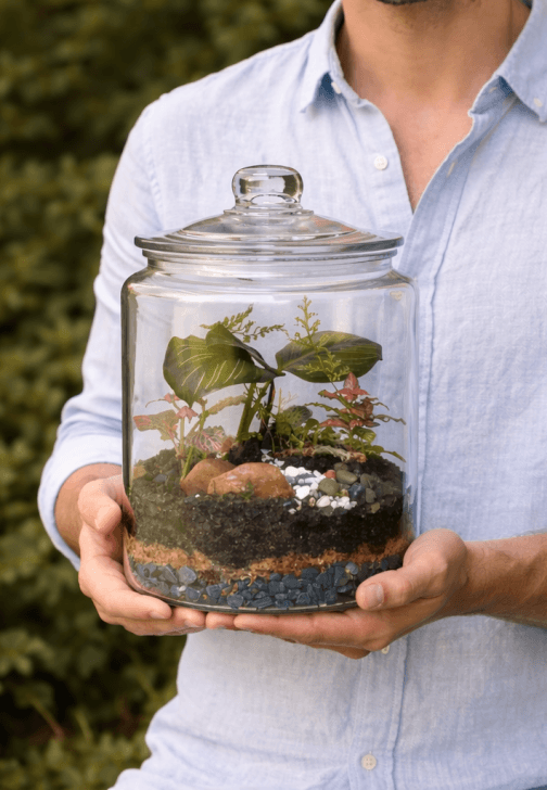 Greenhouse Terrarium Workshop