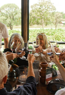 Group Wine Tasting Experience