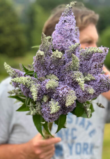 Grow and Bloom – Cut Flower Farming Workshop (Two Days)