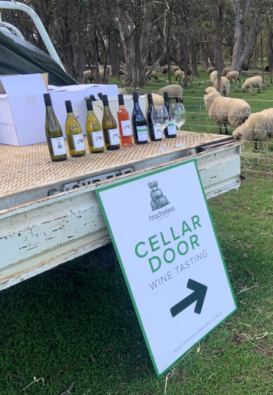 Guided Wine Tasting Experience at the Vineyard