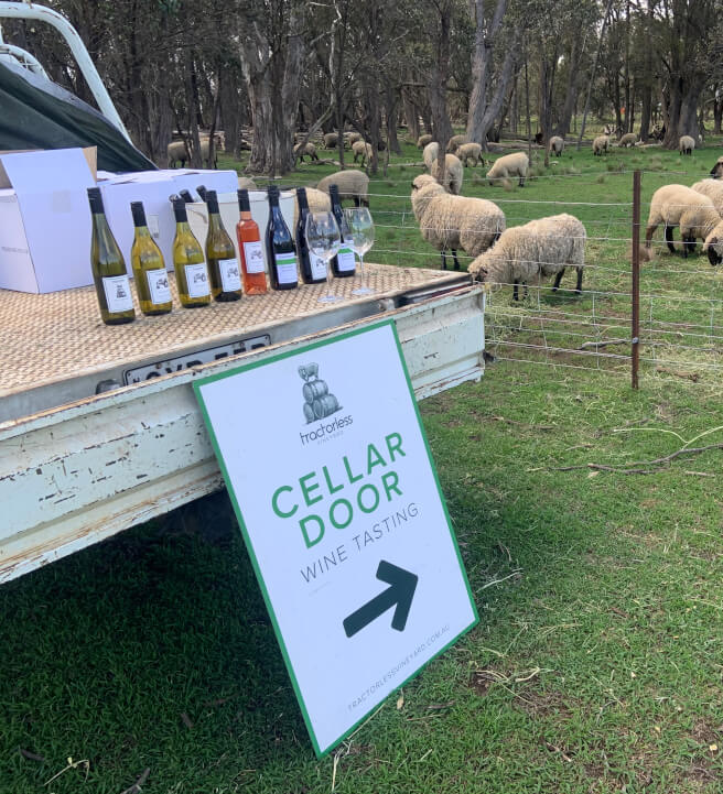 Guided Wine Tasting Experience at the Vineyard