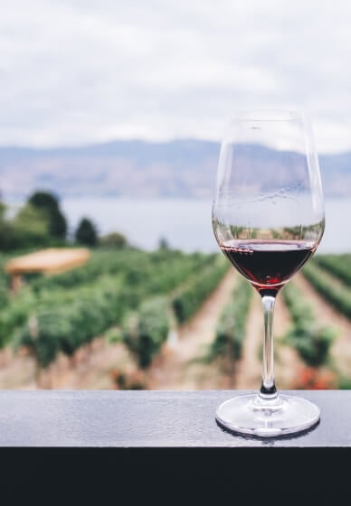 Half-day Wine Tasting Tour in Mt Tamborine