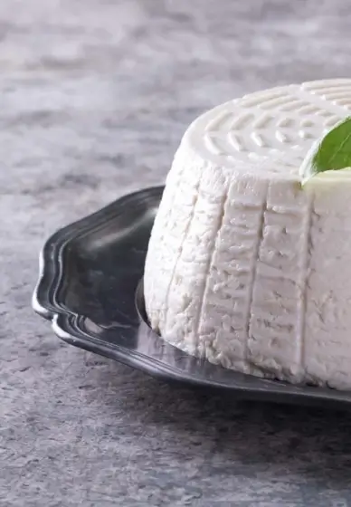 Halloumi and Ricotta Cheese Making Workshop