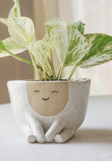 Hand Building Pottery Class: Make Your Own Pot Planter