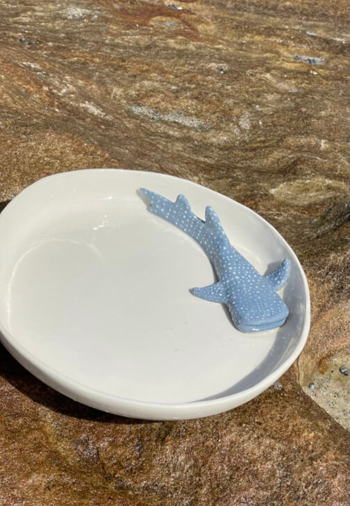 Hand-building Tableware Workshop