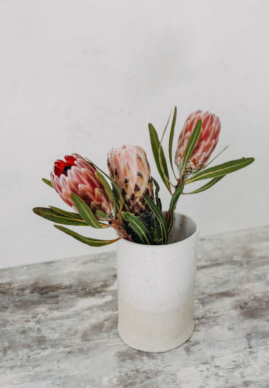 Hand Building Workshop: Pottery Vase