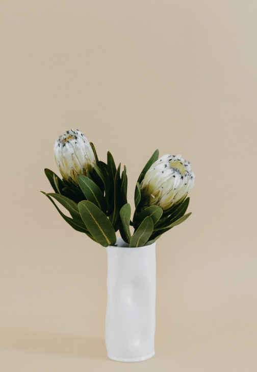 Hand Building Workshop: Pottery Vase